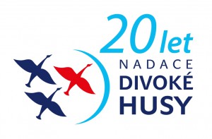 logo_20_let_ndh_rgb_modra_02